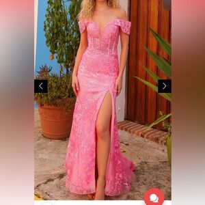 NWT Nox Elegant Pink Lace Gown with Slit